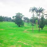 Open Space